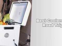 Top 10 Best Coolers For Road Trips To Buy In 2026 best coolers for road trips