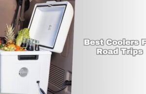 Top 10 Best Coolers For Road Trips To Buy In 2026 best coolers for road trips