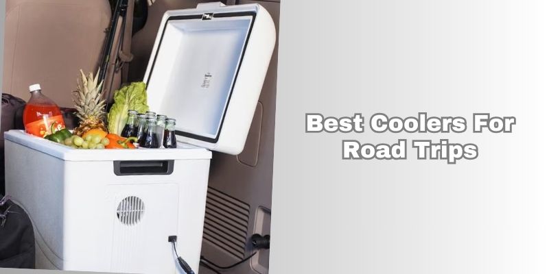 best coolers for road trips