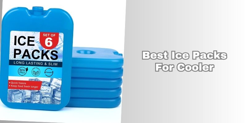 best ice packs for cooler