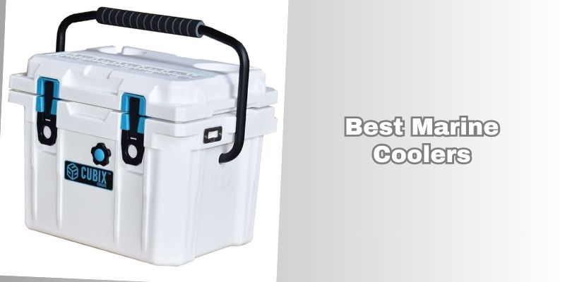 best marine coolers