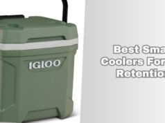 10 Best Small Coolers For Ice Retention In 2026 – Reviews And Guide best small coolers for ice retention