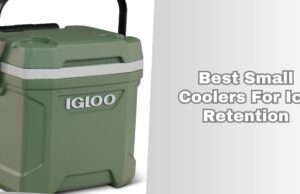 10 Best Small Coolers For Ice Retention In 2026 β Reviews And Guide best small coolers for ice retention