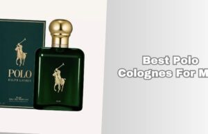 best polo colognes for men
