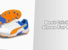 best cricket shoes for men