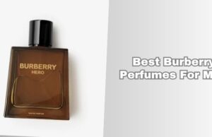best burberry perfumes for men