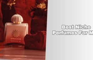 Our 10 Best Niche Perfumes For Men In 2026 best niche perfumes for men