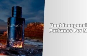 Our 10 Best Inexpensive Perfumes For Men Of 2026 best inexpensive perfumes for men