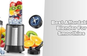 best affordable blender for smoothies