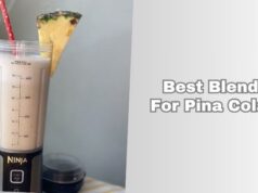 best blenders for pina coladas
