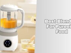 best blenders for pureeing food