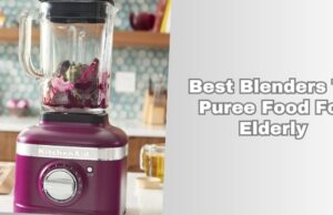 best blenders to puree food for elderly
