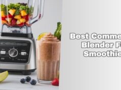 best commercial blender for smoothies