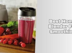 best home blender for smoothies