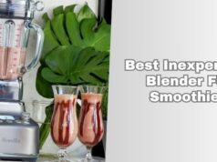 best inexpensive blender for smoothies