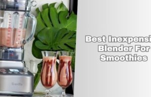 best inexpensive blender for smoothies