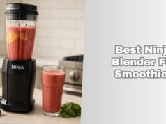 best ninja blender for smoothies