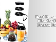 best personal blender for frozen fruit