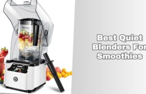 Our 8 Best Quiet Blenders For Smoothies (2026), Tested and Reviewed best quiet blenders for smoothies