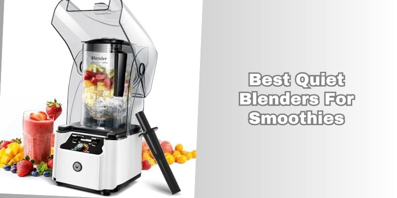 best quiet blenders for smoothies