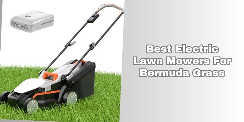 best electric lawn mowers for bermuda grass