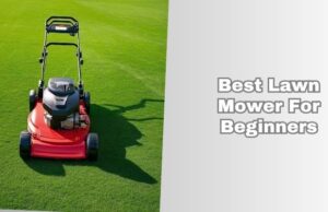 best lawn mower for beginners