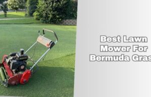 The 10 Best Lawn Mower For Bermuda Grass In 2026 best lawn mower for bermuda grass