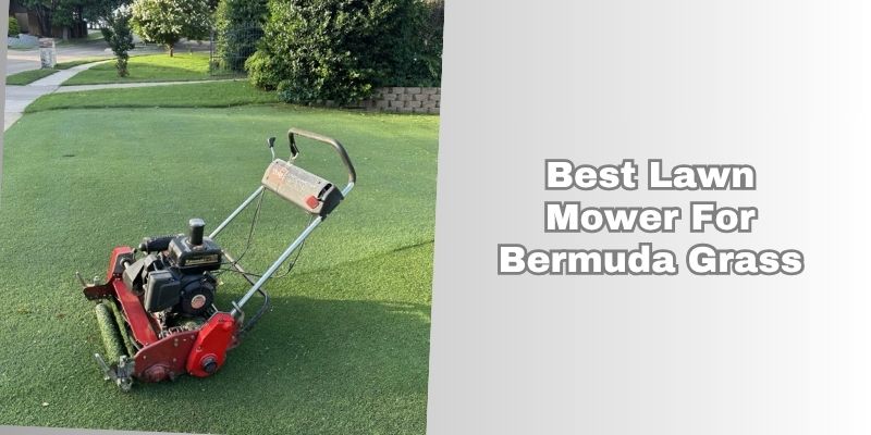 best lawn mower for bermuda grass