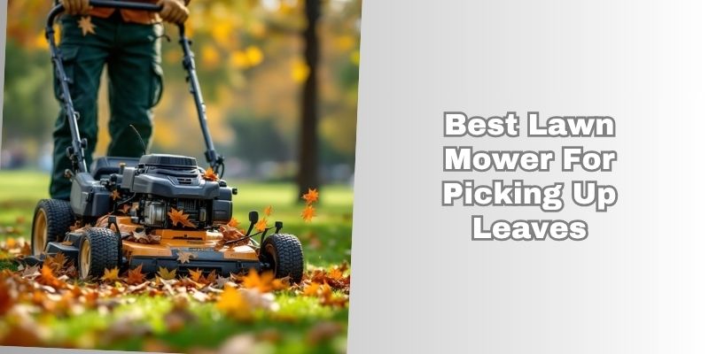 best lawn mower for picking up leaves